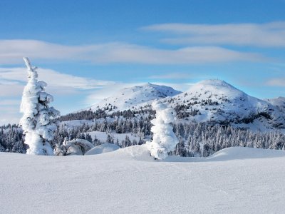 Unberührte Natur im Nationalpark