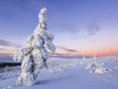 Tykky-Zeit in Finnland
