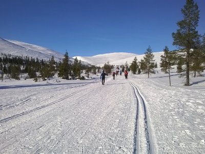 Droit sur l'Olos tunturi
