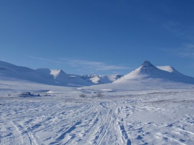 Une nature pure, blanche, immaculée