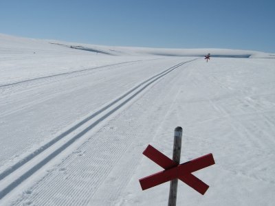 Klassich oder Skating - Sie haben die Wahl