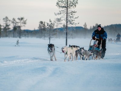 Die Husky-Safari darf nicht fehlen