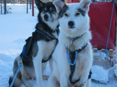 Dans l'attente de partir !