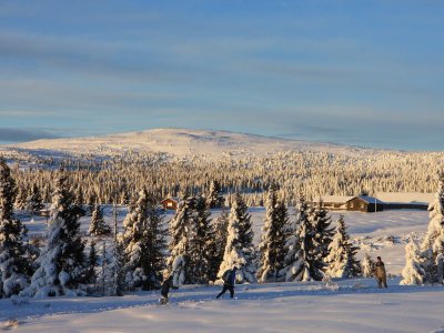 Plus de 350 km de piste tracées dans les deux styles