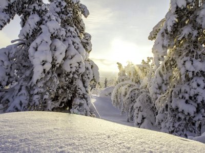 Winterzauber Vuokatti