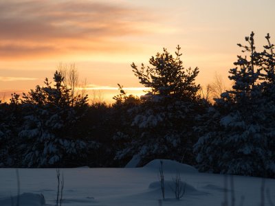 Ambiance de fin de journée !