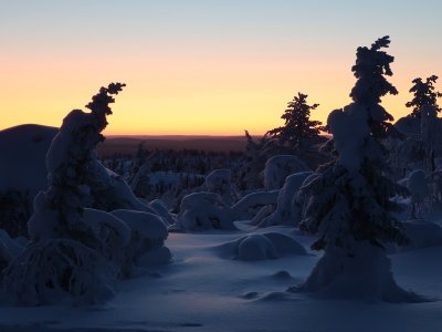 Les arbres dans leurs manteaux de glace sous un ciel pastel