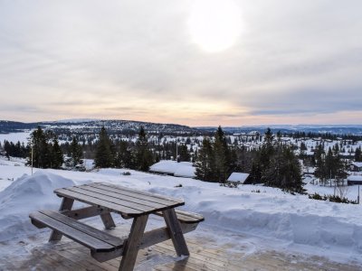 Pour le thé du matin