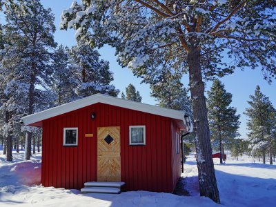 Une cabane, havre de confort au milieu des bois
