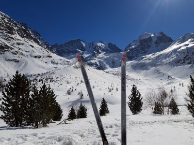 Mondo del ghiacciaio