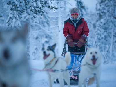 Entdecken Sie die Wildnis Lapplands