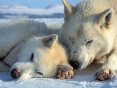 Ne pas déranger svpl