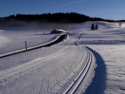 Typique des crêtes du Jura !