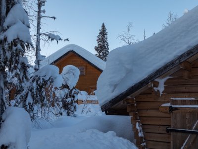 Petit chalet niché au coeur de la forêt