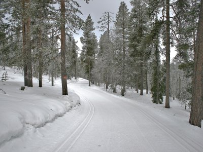 Piste parfaitement préparée !