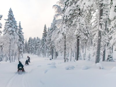 Durch den herrlichen Winterwald