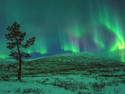 La Nature dans ce qu'elle a de merveilleux