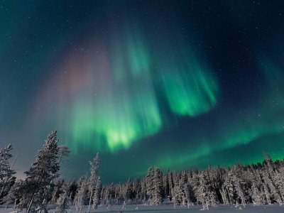 Aurore boréale au dessus des arbres