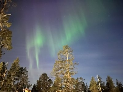 Northern lights included