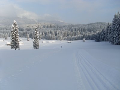 I primi raggi di sole