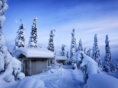 La Parc National de Riisitunturi !