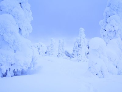 Spectacle magistrale