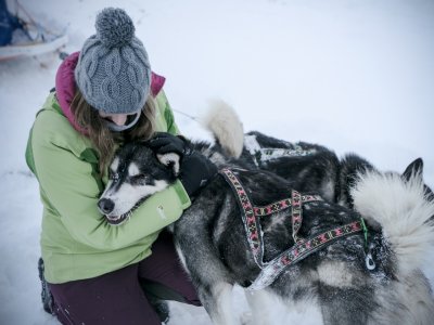 L'amour naît d'un regard !