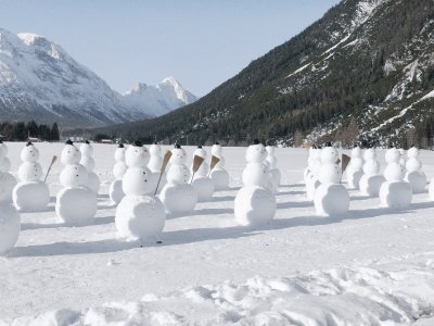 Un champ de bonhommes de neige !