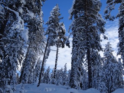 Incantevole passaggio per il laghetto di Staz