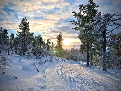 Frühwinter-Sonnenstand