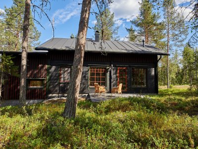 Bien caché dans la forêt !