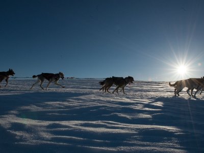 Au milieu de nulle part !