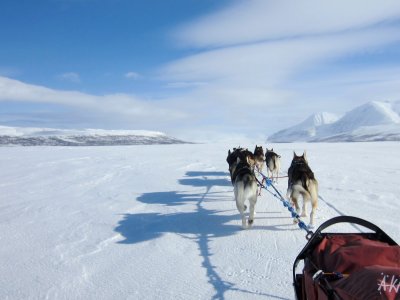 Soweit das Auge reicht