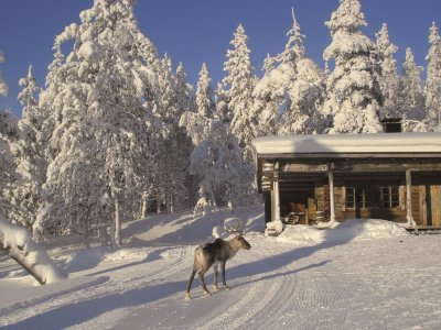 Morgens auf der Loipe