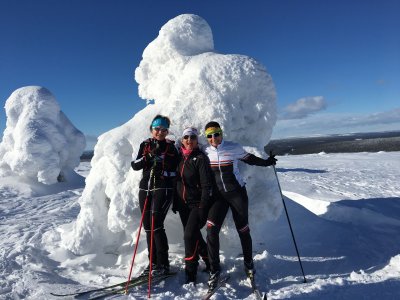 C'est bien un arbre qui se cache sous la neige ...