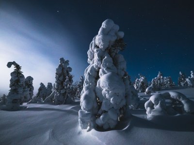 Beauté naturelle sur le Cercle polaire