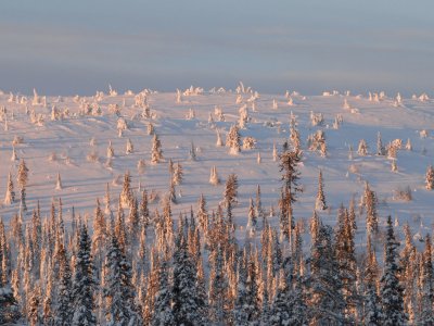 La magie de l'hiver en Laponie
