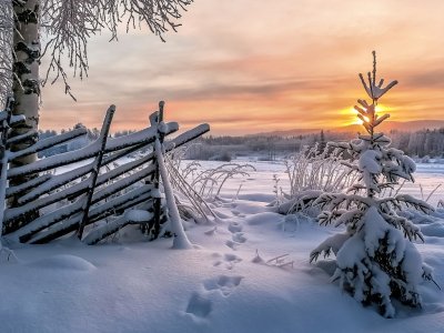 Karelien in gold getaucht