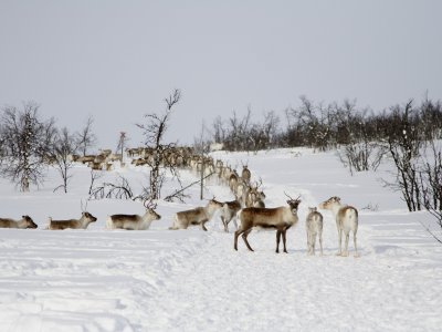Willkommene Abwechslung auf dem Trail