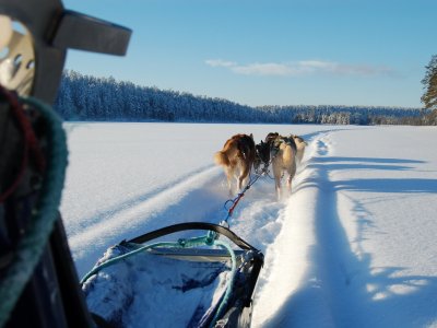 Personne à perte de vue !