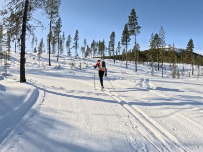 Perfekt präparierte Loipen