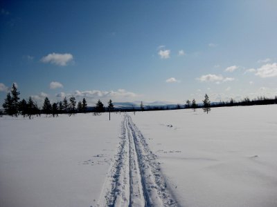 La piste comme seul horizon