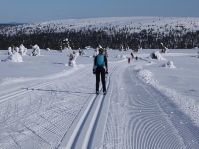 Piste parfaitement tracée !