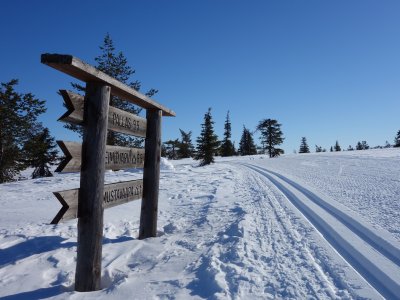 Loipe in die Einsamkeit