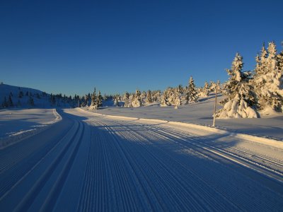 Au petit matin sur les plateaux