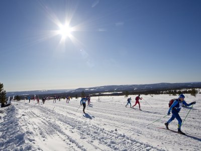 Sunny cross country marathon paradise