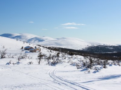 Ambiance matinale en Laponie