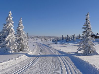 More than 350km of tracks