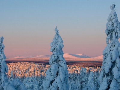 Farbenspiel im Nationalpark
