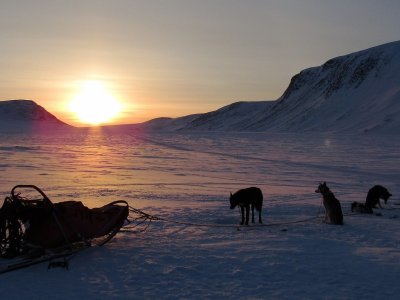 Tout simplement magique !